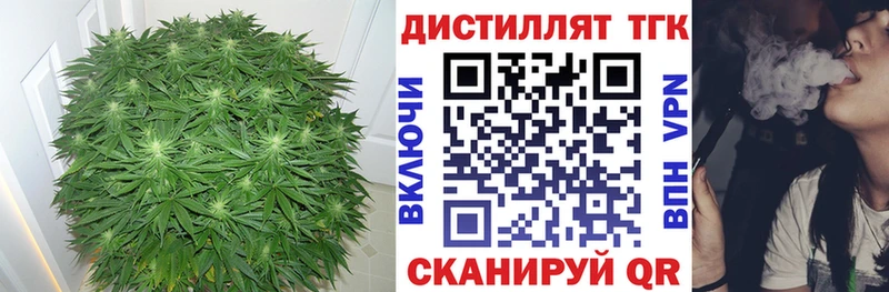 Дистиллят ТГК концентрат  Макарьев 