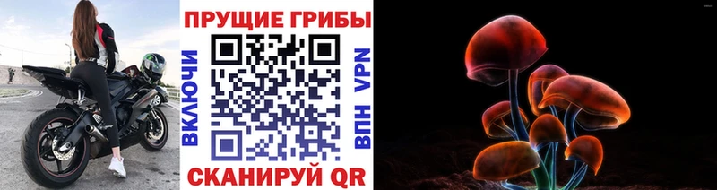 Псилоцибиновые грибы Cubensis  Макарьев 